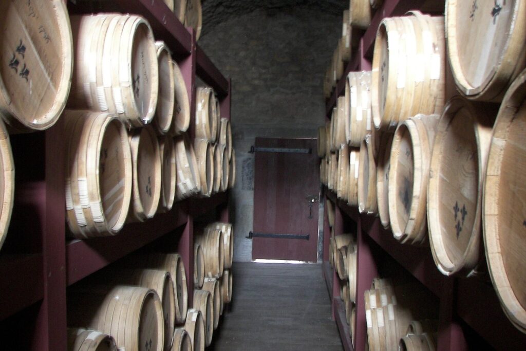 Fort de Chartres