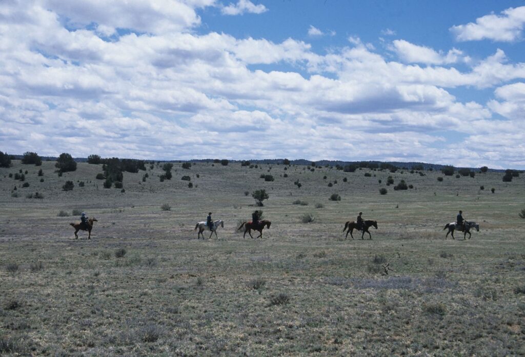Fort Stanton: An Army Post, Tuberculosis Sanatorium, and Wartime Detention Center 2 Fort Stanton