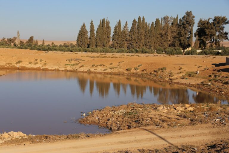 Qatrana Castle: A Pilgrims’ Khan on Jordan’s Syrian Route