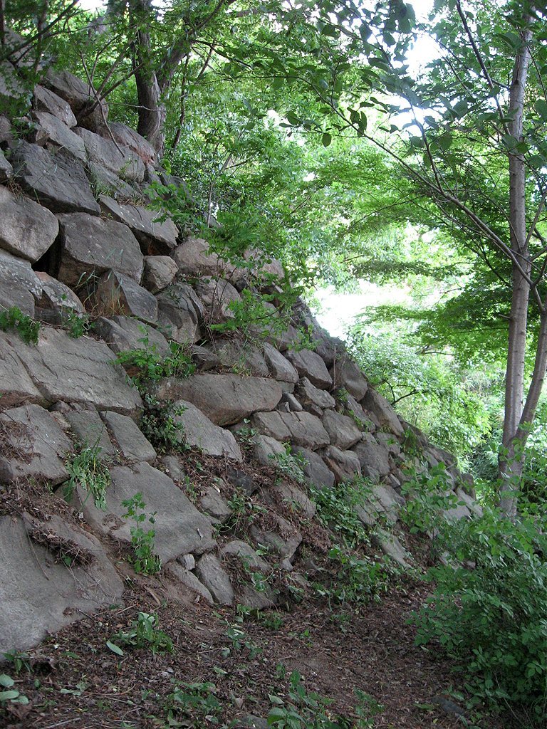 Ulsan Castle: A Japanese Defensive Stronghold in Korea