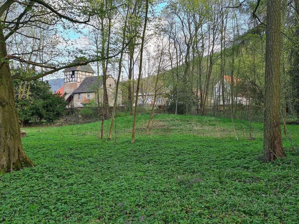 Castle Wernrode