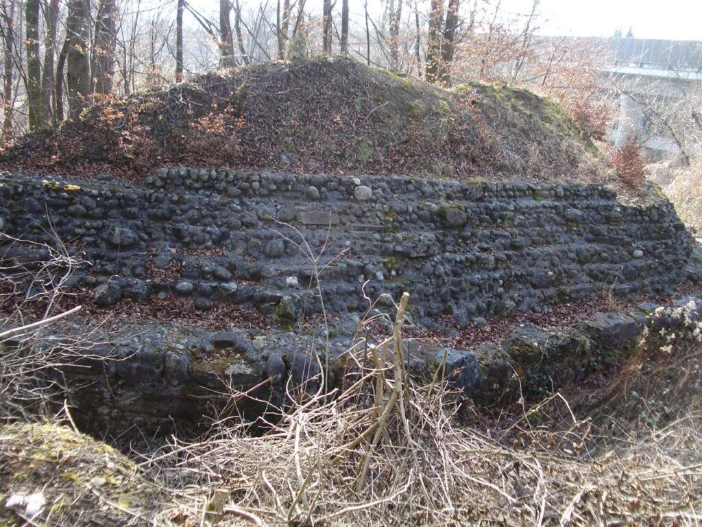 Glanzenberg: Ruins of a Medieval Castle and Town in Switzerland 1 Glanzenberg ruin