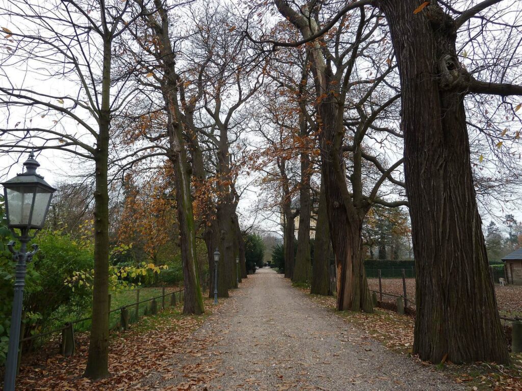 Castle of Gronsveld