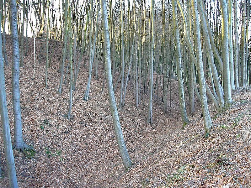 Burgstall Sand (Todtenweis): A Former Hilltop Castle Site in Bavaria 1 Burgstall Sand (Todtenweis)
