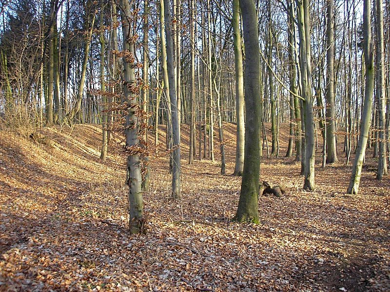 Burgstall Sand (Todtenweis): A Former Hilltop Castle Site in Bavaria 2 Burgstall Sand (Todtenweis)