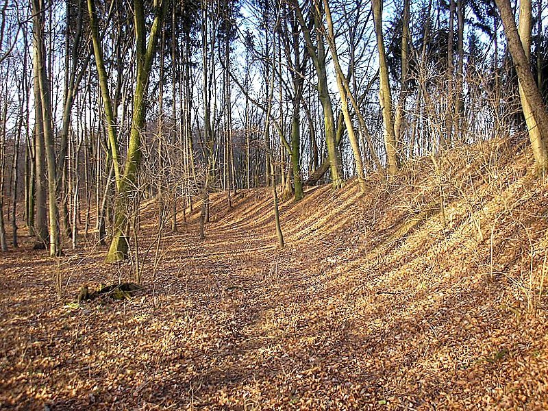 Burgstall Sand (Todtenweis): A Former Hilltop Castle Site in Bavaria 3 Burgstall Sand (Todtenweis)