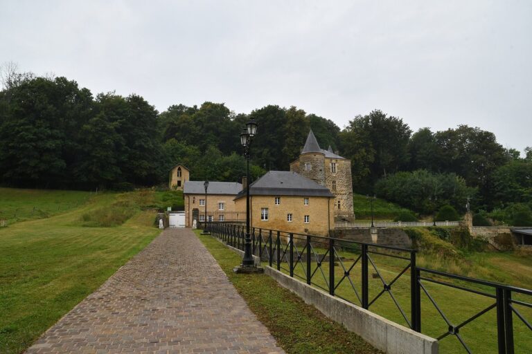 Rocan Castle: A 16th-Century Noble Residence in France