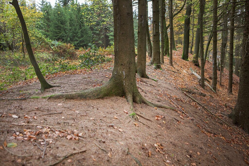 Herlingsburg: A La Tène Hillfort in Germany 1 Herlingsburg