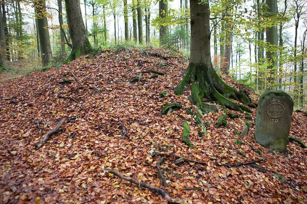 Herlingsburg: A La Tène Hillfort in Germany 2 Herlingsburg