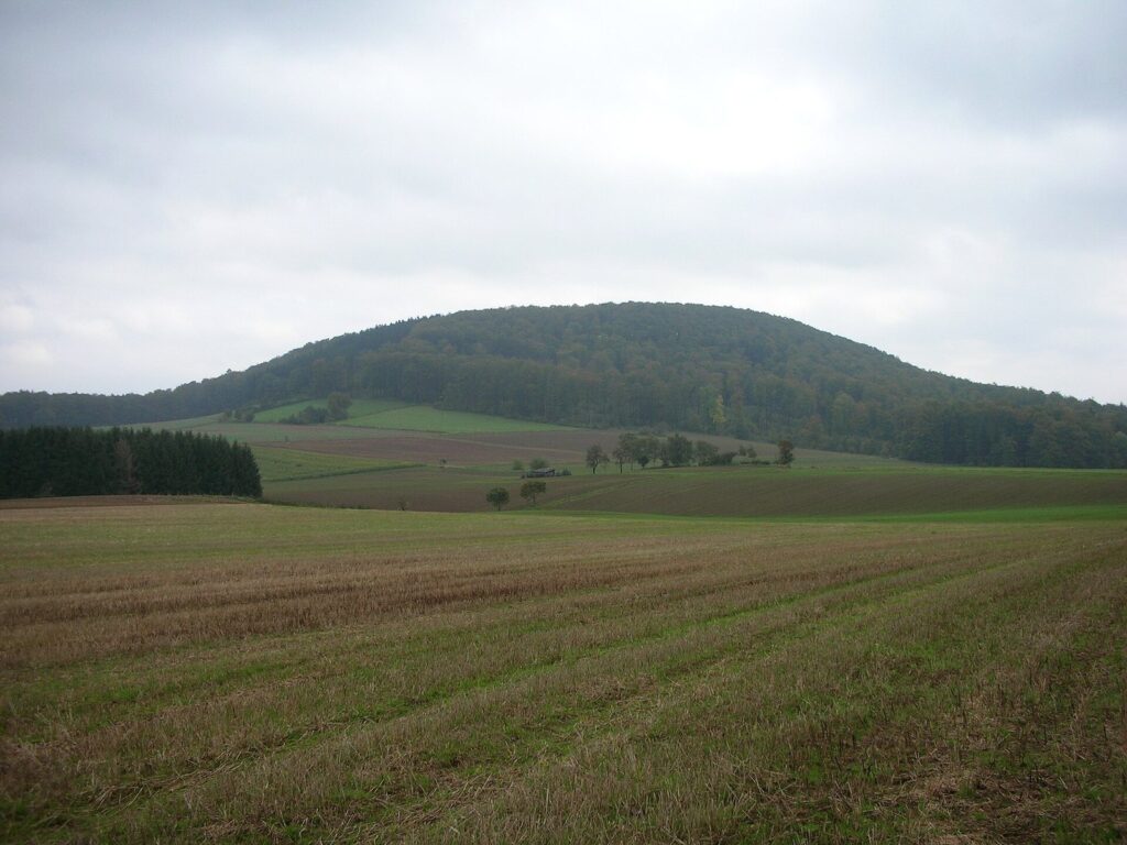 Herlingsburg: A La Tène Hillfort in Germany 3 Herlingsburg