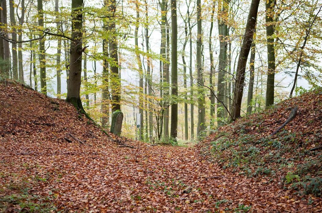 Herlingsburg: A La Tène Hillfort in Germany 4 Herlingsburg