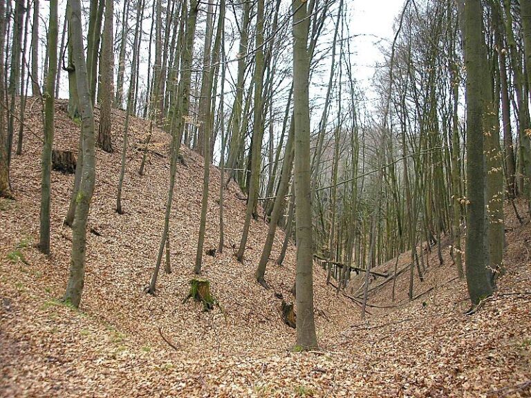 Schanze Wagesenberg: A Prehistoric Settlement Site and Early Medieval Fortification