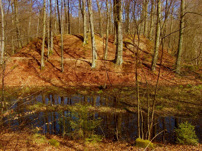 Alte Burg (Laudert): A Medieval Castle Mound in Germany 1 Alte Burg (Laudert)