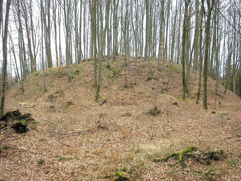 Burgstall Wagesenberg: A High-Medieval Castle Site in Germany