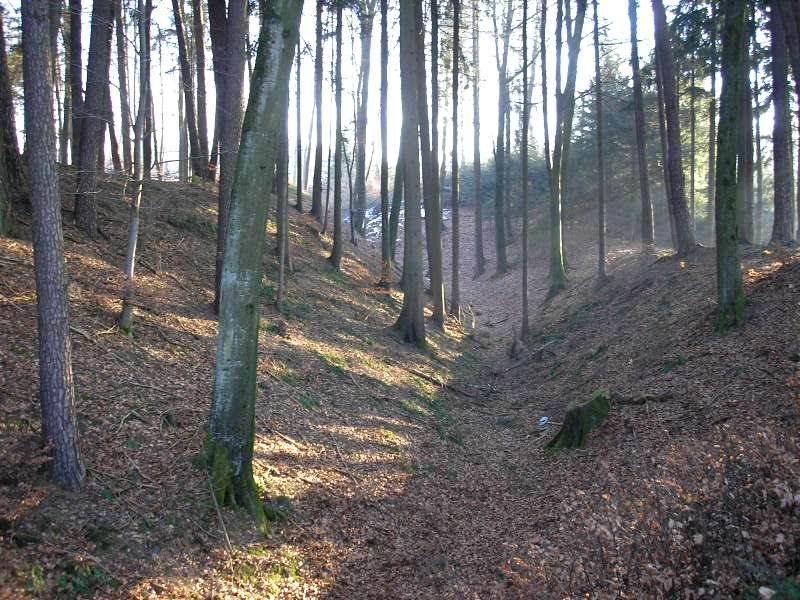 Burgstall Burgadelzhausen: A Presumed Early Medieval Rampart Fort in Bavaria 2 Burgstall Burgadelzhausen