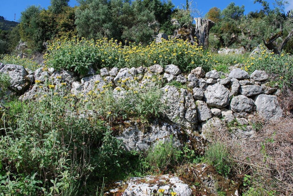 Agios Athanasios site, Ithaki