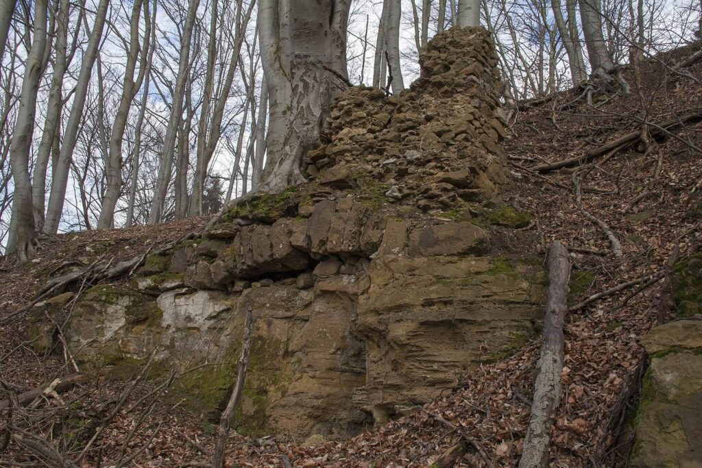 Burgruine Haimburg