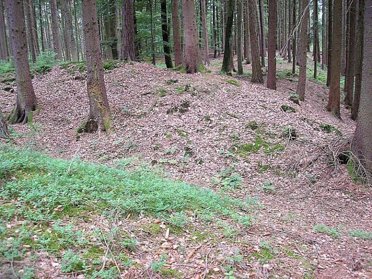 Schwedenschanze, Nisselsbach: An Earthwork Fortification of Uncertain Date