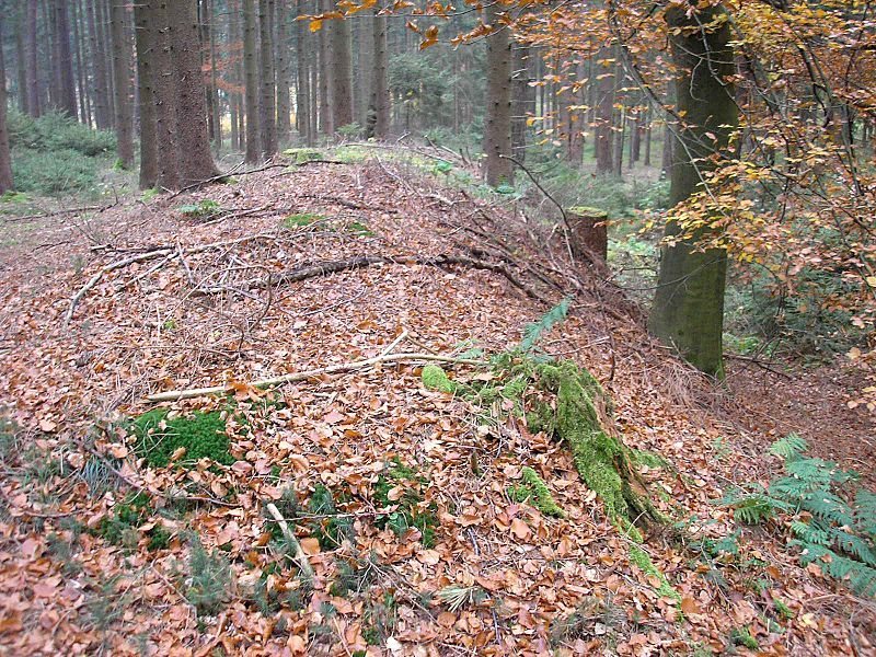 Schwedenschanze, Nisselsbach: An Earthwork Fortification of Uncertain Date 2 Schwedenschanze, Nisselsbach