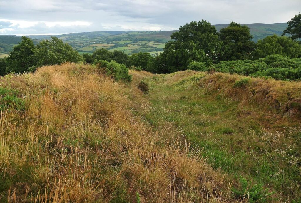 Bury Castle (Selworthy): An Iron Age Fort and Medieval Castle 2 Bury Castle (Selworthy)