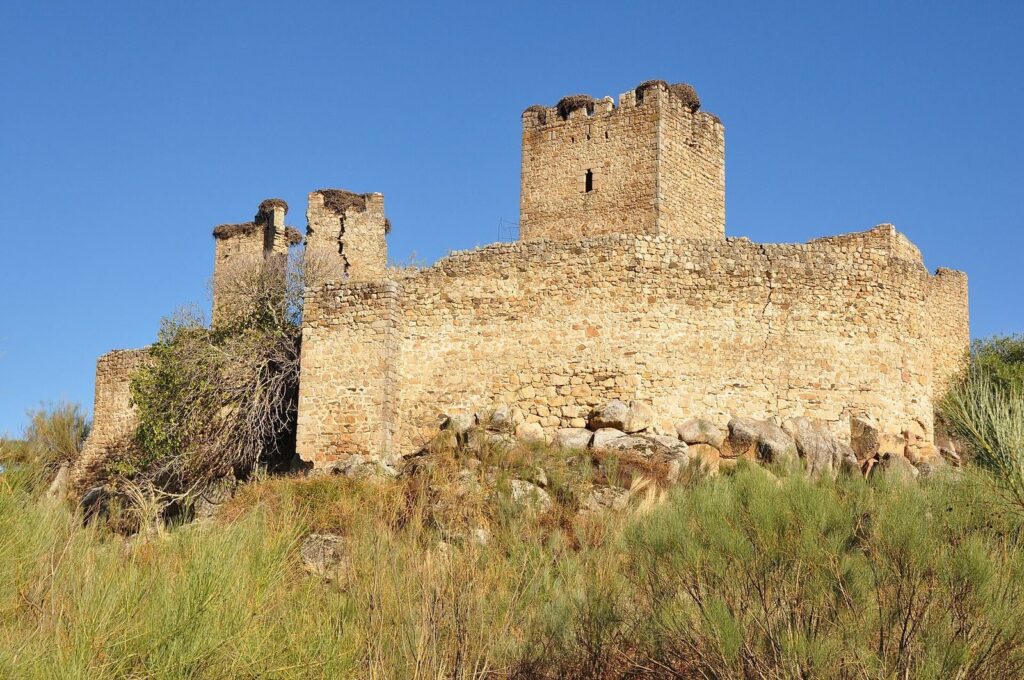 Castle of Mayoralgo