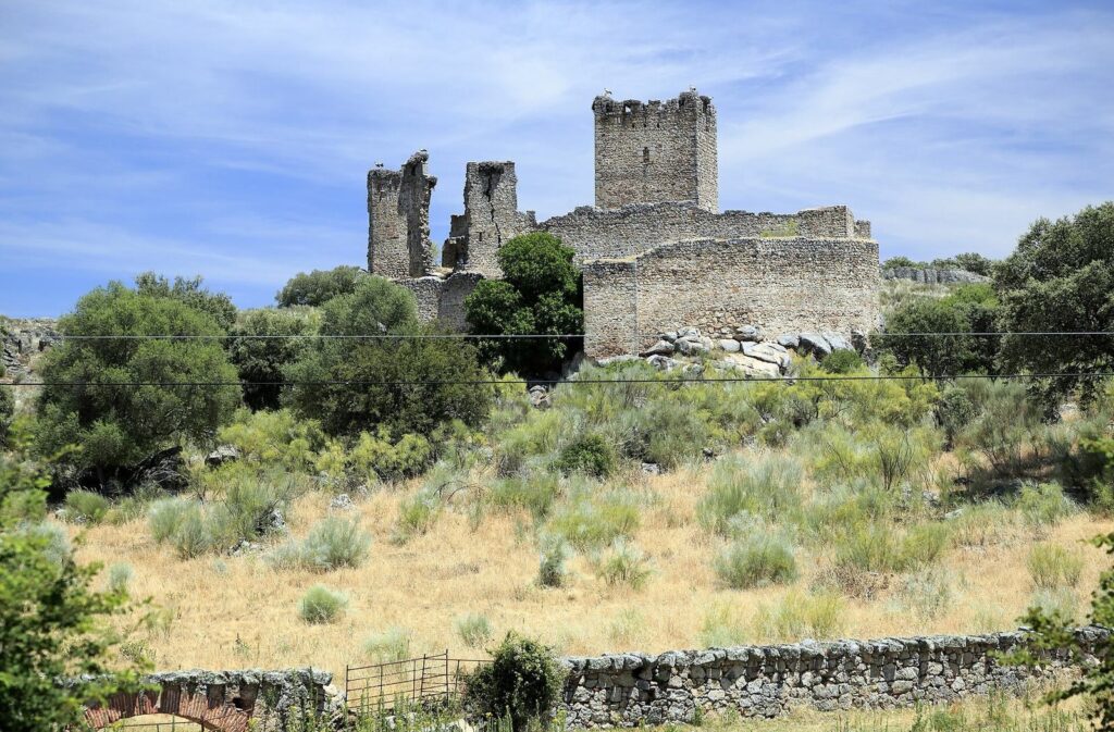 Castle of Mayoralgo