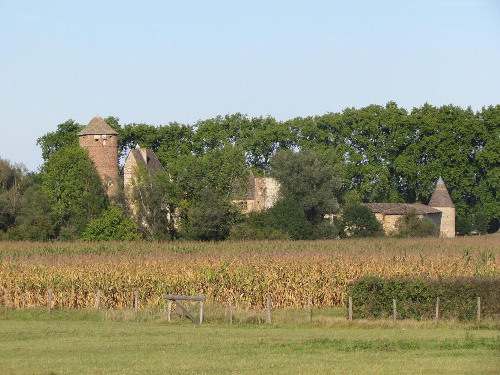 Castle of Arginy: A Medieval Castle in Charentay, France 3 Castle of Arginy