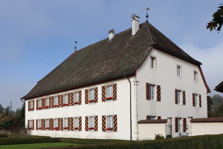 Courtelary Castle: Seat of the Bailiwick of Erguel