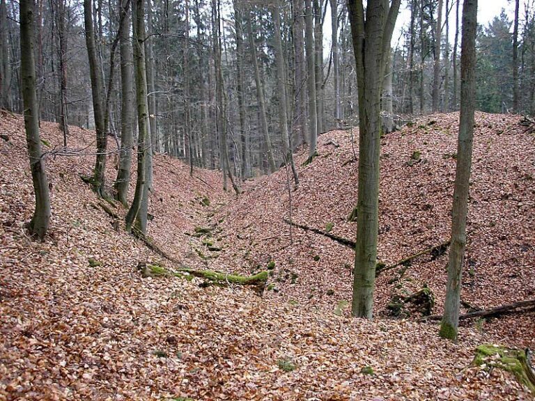 Burgstall Gutenfels: Remains of a High-Medieval Hilltop Castle