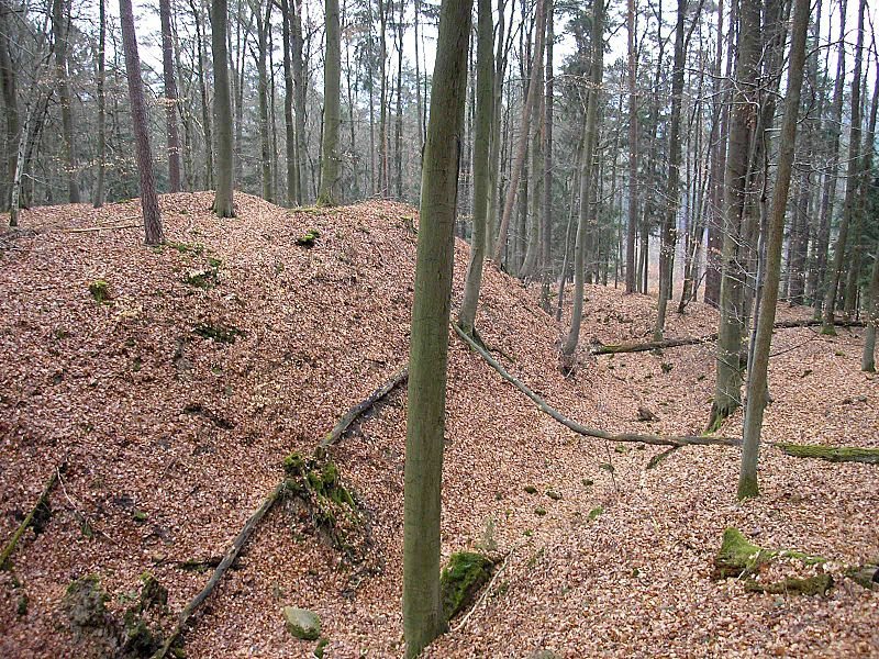 Burgstall Gutenfels: Remains of a High-Medieval Hilltop Castle 2 Burgstall Gutenfels