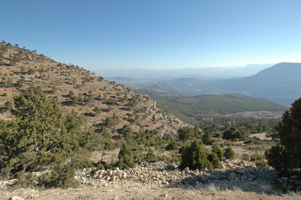 Alahan Monastery: An Early Byzantine Religious Complex in Türkiye 2 Alahan Monastery