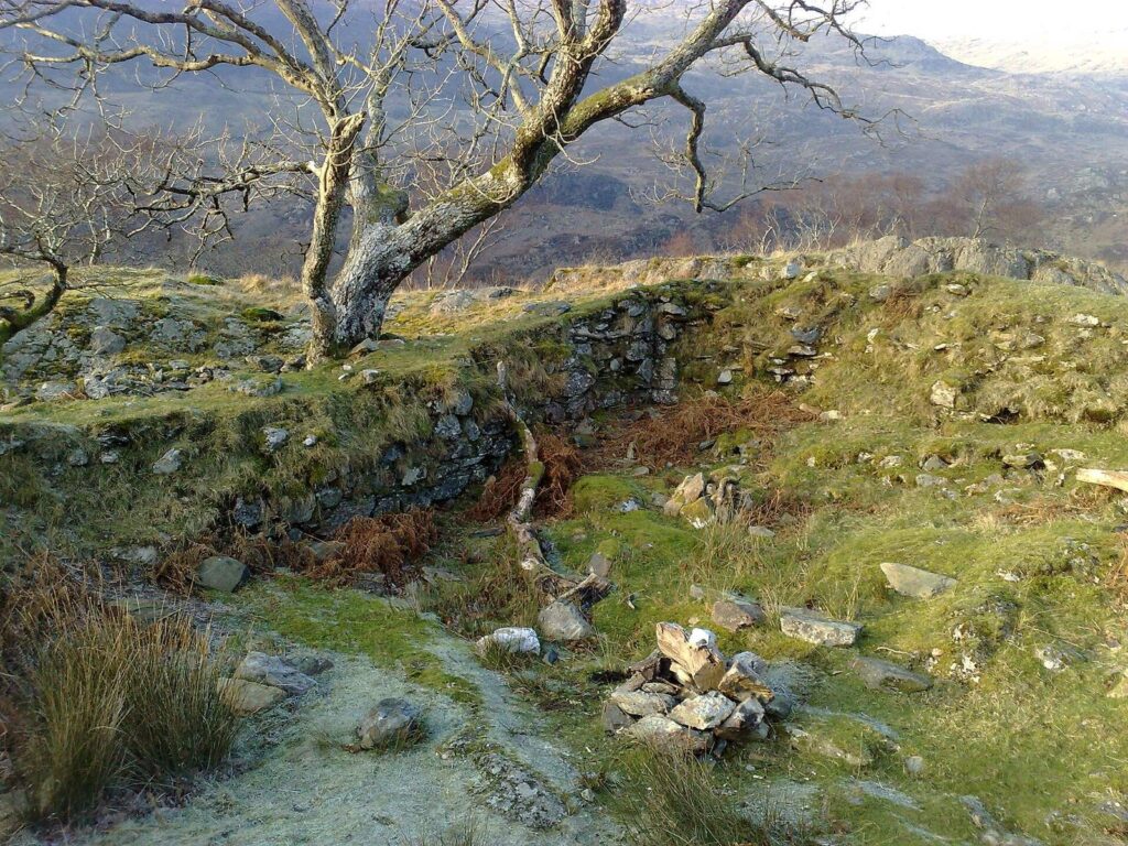 Dinas Emrys: A Welsh Hillfort and Medieval Castle 1 Dinas Emrys