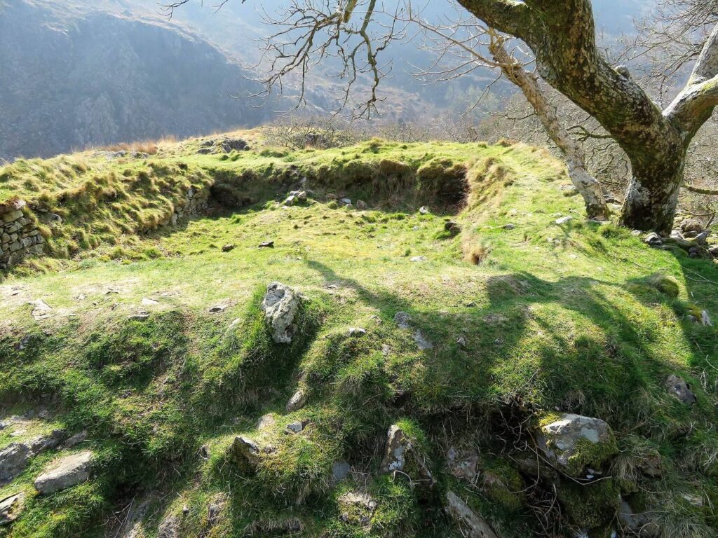 Dinas Emrys: A Welsh Hillfort and Medieval Castle 3 Dinas Emrys